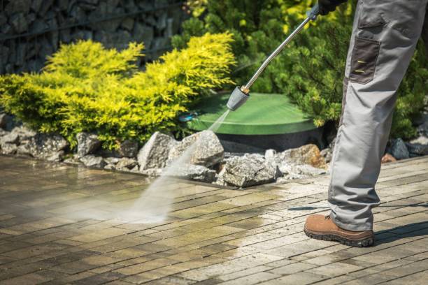 Best Fence Cleaning and Maintenance in Tioga, TX