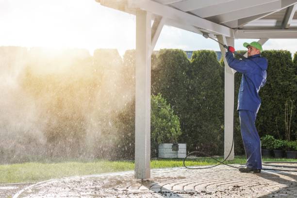 Best Graffiti Removal Services in Tioga, TX